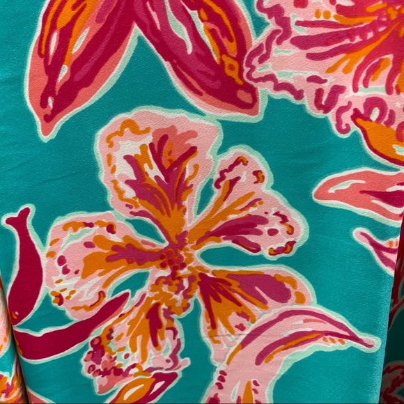 Lilly Pulitzer dress - Picture 4 of 5